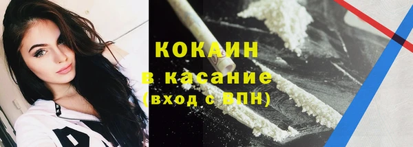 шишки Володарск