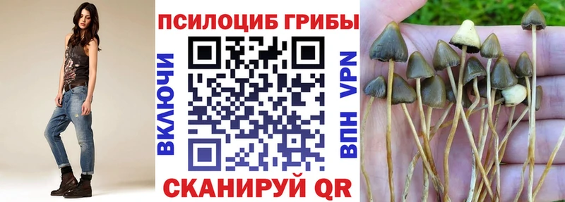 Галлюциногенные грибы MAGIC MUSHROOMS  гидра ссылки  Гатчина 